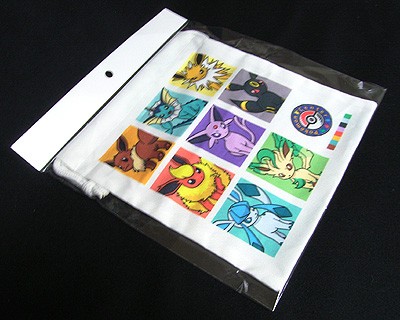 イーブイコレクション 巾着とa5リングノートのご紹介 有栖のポケモン日記