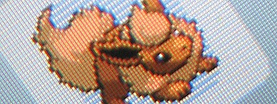 色違いブースターをご紹介!!!!! : 有栖のポケモン日記
