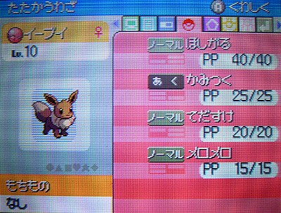 ブイコレのイーブイ 受け取ったぜ 有栖のポケモン日記