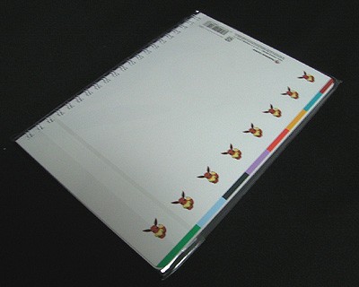 ポケモン　リングノート　ピカチュウ　イーブイ ポケモンセンター限定 B6リングノート オーロラツアー