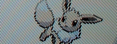 WCSの色違いイーブイ、受け取ったぜ!!!!! : 有栖のポケモン日記