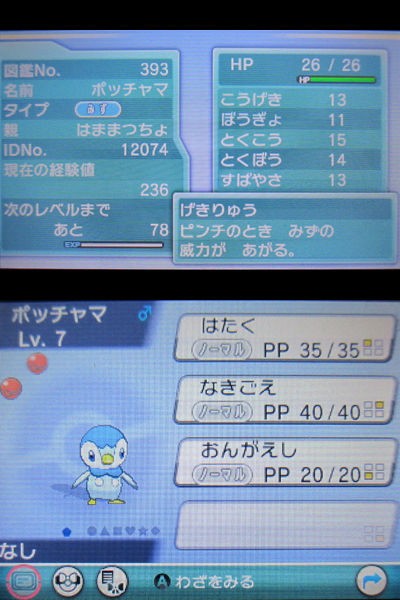 ポケモンセンター トウキョーフィナーレのポッチャマをご紹介 有栖のポケモン日記