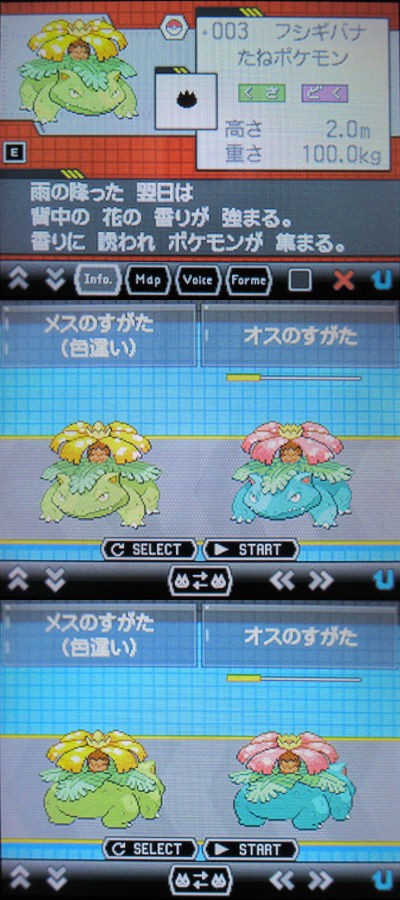 色違いフシギバナをご紹介 有栖のポケモン日記