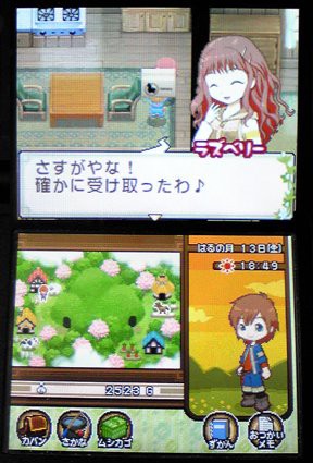 牧場物語 ふたごの村 The Grimoire Of Alice 牧場物語 ふたごの村 The Grimoire Of Alice