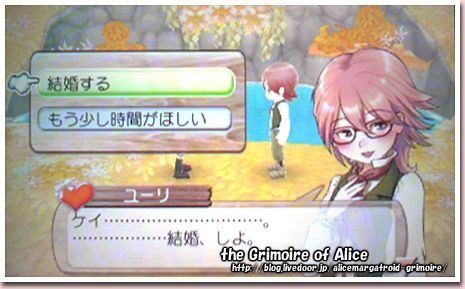 3ds 牧場物語 はじまりの大地 逆プロ The Grimoire Of Alice