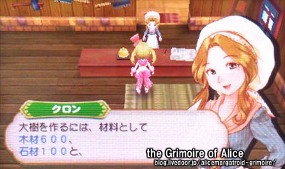 3ds 牧場物語 つながる新天地 10日目 The Grimoire Of Alice