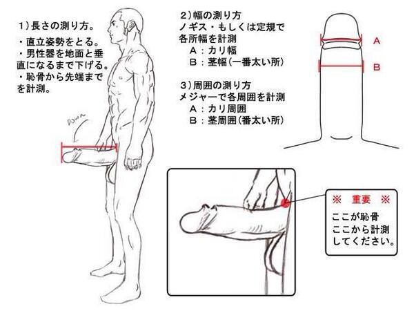 正直に勃起ちんこのサイズ書いてけ ぶんぶんじょー