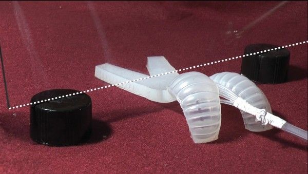 侵略 イカロボット ハーバード大学のイカロボットに対する海外の反応 エイリアンラボ