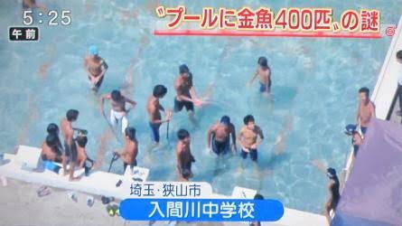 唖然 女子中学生が500匹の金魚を学校のプールに放流し大騒ぎ 金魚と一緒に泳ぎたかった Newsぽけまとめーる