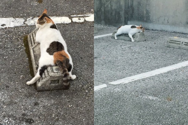 640_ce6d86f5302d4a615048c4bfdfc0d147