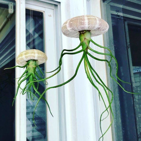 BlRX3E7HPXH-png__700