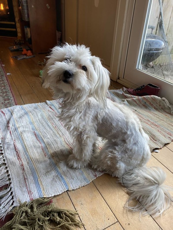 5eafdc1db9677_ptyf771z6vs41__700 (1)