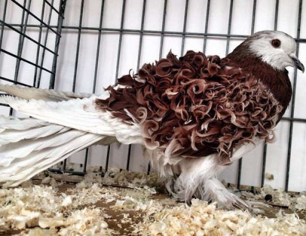 495605804616388609-1-png__700