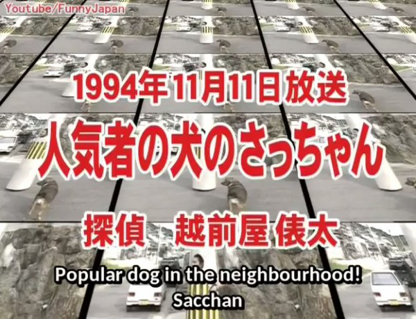 外国人 何て心温まる動画なんだ 町全体で愛される日本の人気犬さっちゃんが海外で大ウケ 海外のいろんなまとめ 外国人 何て心温まる動画なんだ 町全体で愛される日本の人気犬さっちゃんが海外で大ウケ 海外のいろんなまとめ