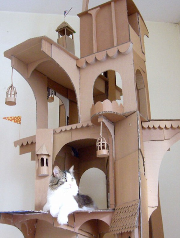 cats-cardboard-forts-1-5f2cf2cc29267__700
