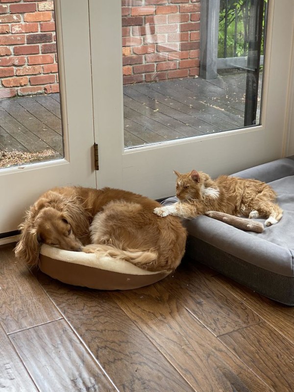 5eaa6d1c7f0b4_0un7c77zy7v41__700