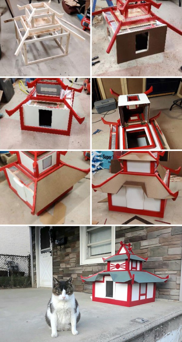 funny-cat-logic-beds-242-5f7b2a52535f6__700