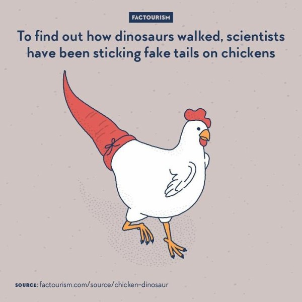 B-rO49hg65x-png__700