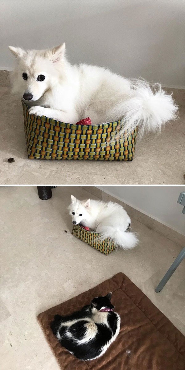 wdvrgrggfdg-3-5eb52426d02cc__700