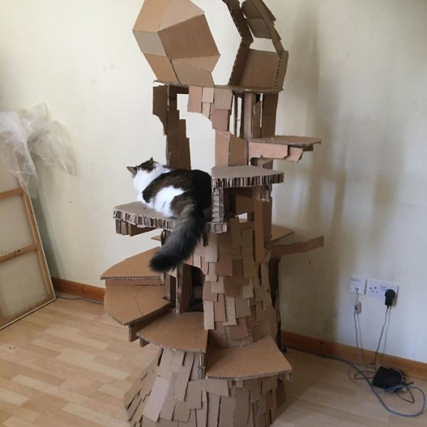 CB3Nm2Xpp2P-png__700