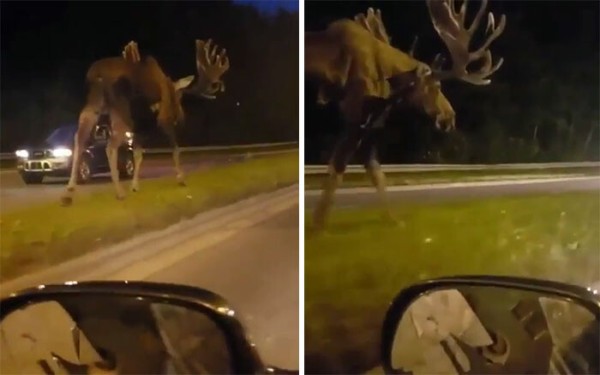 1-5f1ec57a14dd8__700