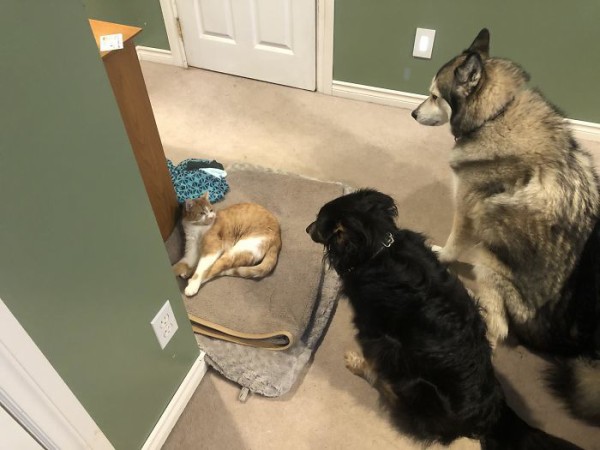 5eb0209febbc3_r7ae75amk1841__700 (1)