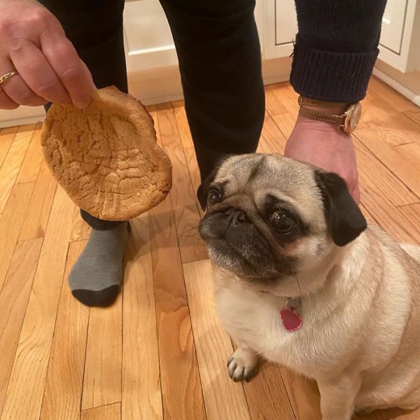 B-zsKc1nYWe-png__700