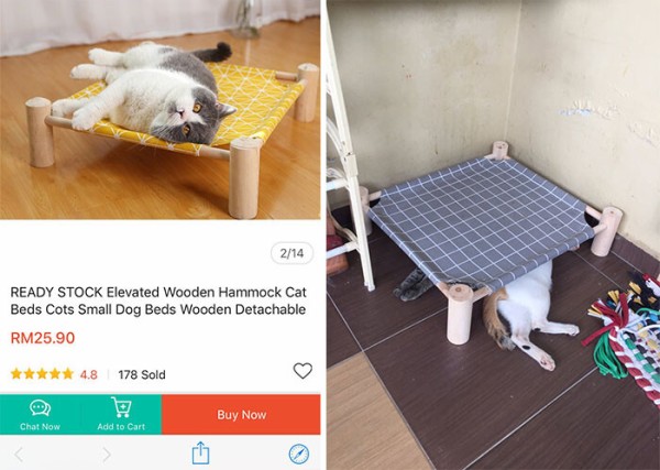 funny-cat-logic-beds-2-5f69e73c784a4__700