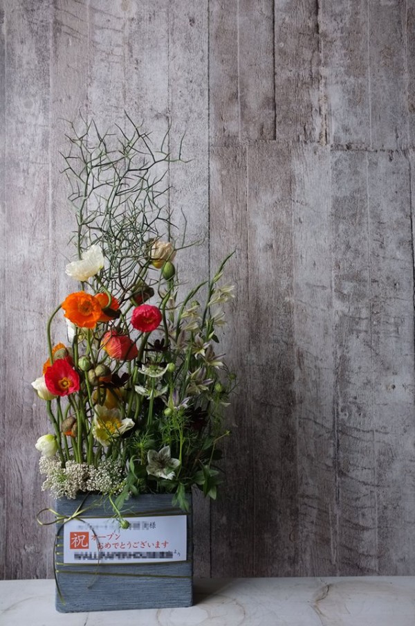 徳島でパリを感じる花屋グノシエンヌ ｱﾘｱﾝｽ ﾌﾗﾝｾｰｽﾞ徳島のetc