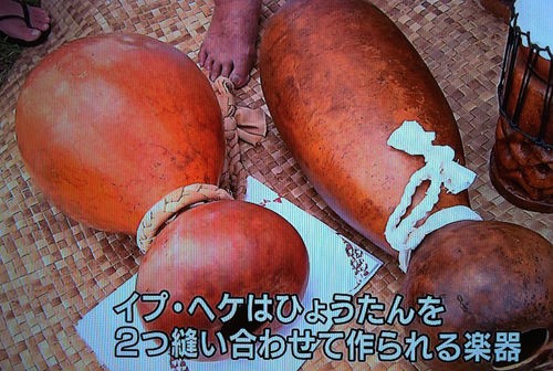 NHK DVD 長谷川潤 ハワイ フラダンス 2組セット Amazon.co.jp: 長谷川潤 ハワイを踊る [DVD] : 長谷川潤, ナラニ