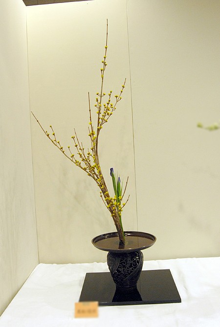 八戸総合華道展より 『龍生派』 : かしの木のたわごと