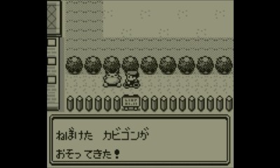 なるべく急いでポケモン初代 Vc版 赤版 リザードン単独クリア Pesq Pescmとか世界樹とかのブログ 大往生