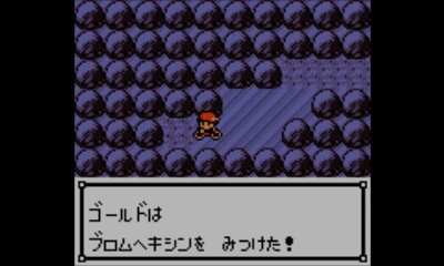 ポケモン金 Vc版 色々制限しながらホウオウ単独クリア 前編 Pesq Pescmとか世界樹とかのブログ 大往生