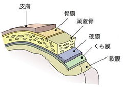 病室で念仏を唱えないでください 1巻 の用語解説 Lunapharmacist