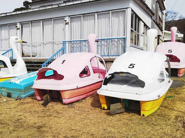 CYMERA_20190319_152957