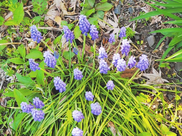 CYMERA_20220618_102541