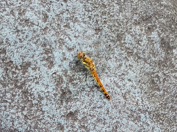 CYMERA_20200908_131229