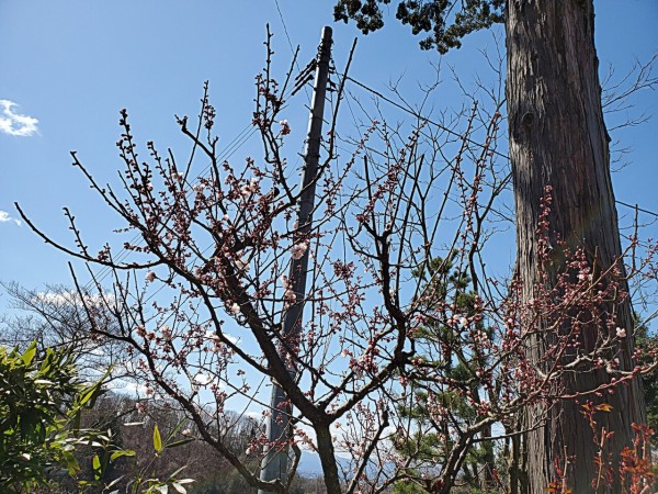 CYMERA_20200330_150333