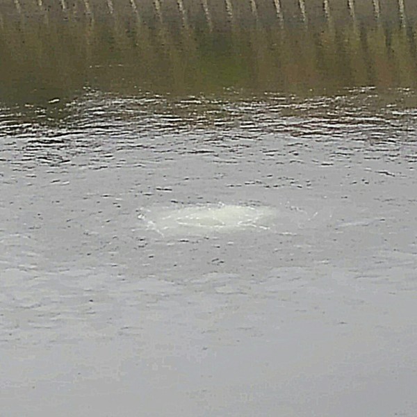 CYMERA_20190425_221609