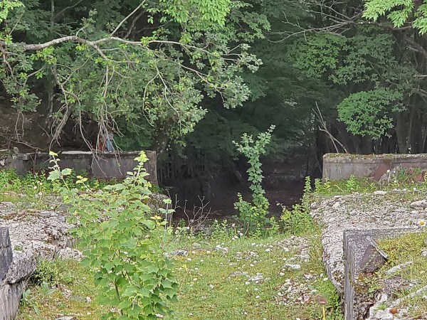 CYMERA_20200908_131610