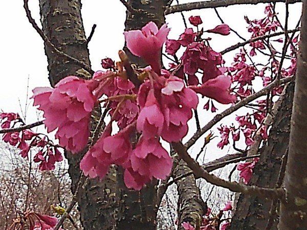 CYMERA_20190424_162339