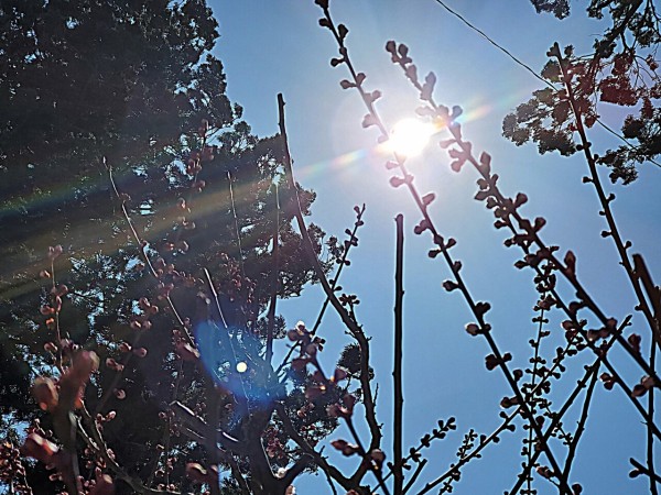 CYMERA_20200330_150350