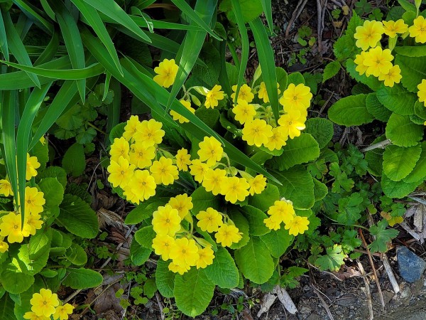 CYMERA_20220618_102522