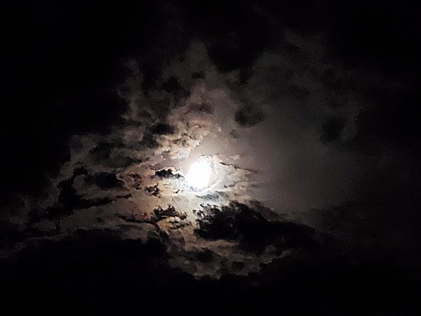 CYMERA_20190910_193239