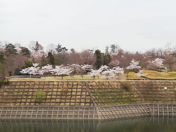 CYMERA_20190425_221506