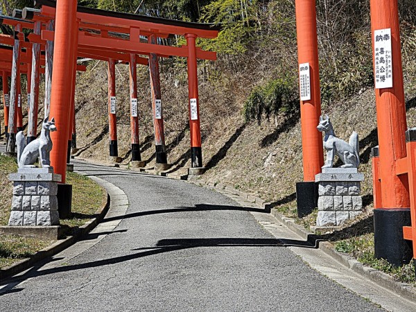 CYMERA_20200330_145602