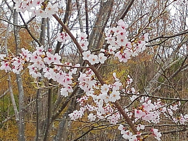 CYMERA_20190424_162243