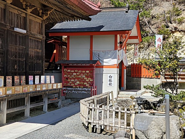 CYMERA_20200330_150100