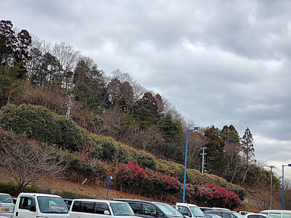 CYMERA_20200119_160030