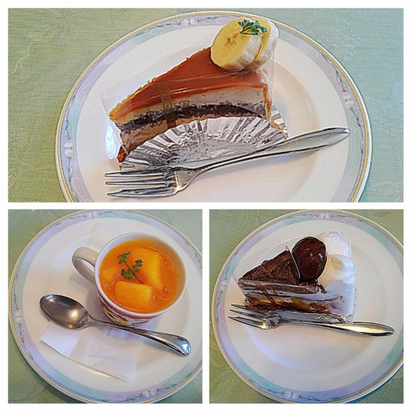 20190317_022934-COLLAGE